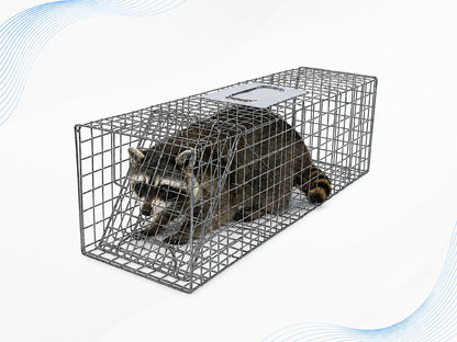 Coremaster Humane Live Animal Trap - Foldable Galvanized Steel Cage