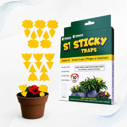 Coremaster Yellow Sticky Gnat Traps 10 Pack