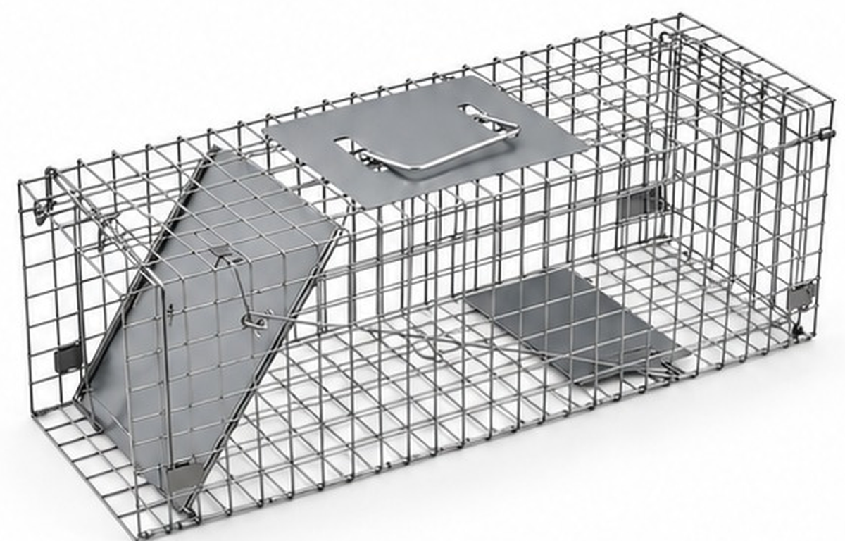 Humane Live Animal Trap