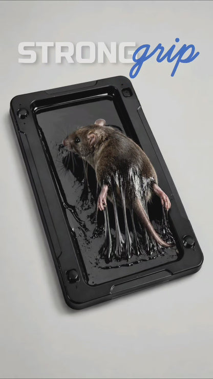 Coremaster Mouse Glue Traps for Indoor Rodent Control - 4 Pack