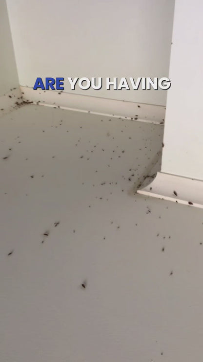 Coremaster Insect Monitor Traps for Roaches, Ants & Crawling Insects